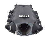 Wilson Plenum Ported BTR Trinity For Cathedral Port Chevy LS